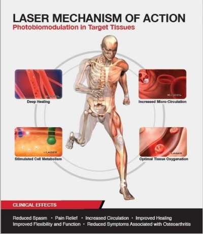 Lase Mechanism of Action